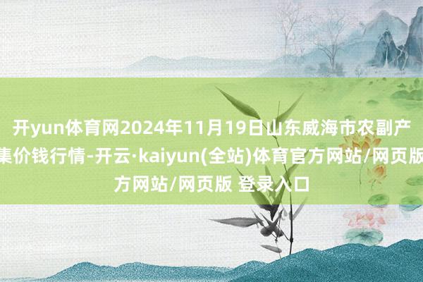 开yun体育网2024年11月19日山东威海市农副产物批发市集价钱行情-开云·kaiyun(全站)体育官方网站/网页版 登录入口