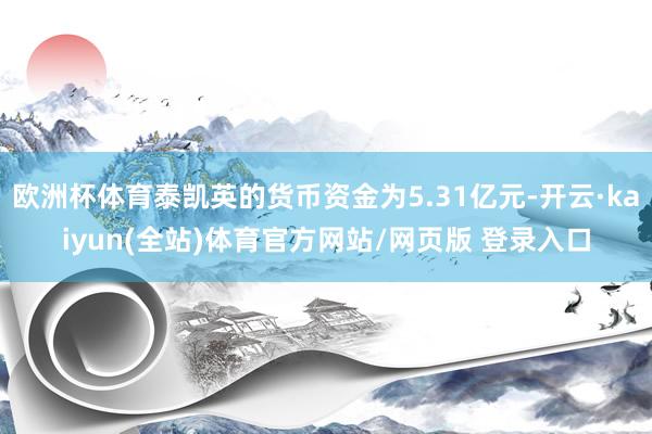 欧洲杯体育泰凯英的货币资金为5.31亿元-开云·kaiyun(全站)体育官方网站/网页版 登录入口