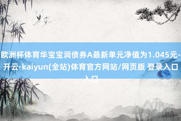 欧洲杯体育华宝宝润债券A最新单元净值为1.045元-开云·kaiyun(全站)体育官方网站/网页版 登录入口