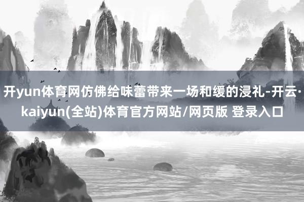 开yun体育网仿佛给味蕾带来一场和缓的浸礼-开云·kaiyun(全站)体育官方网站/网页版 登录入口